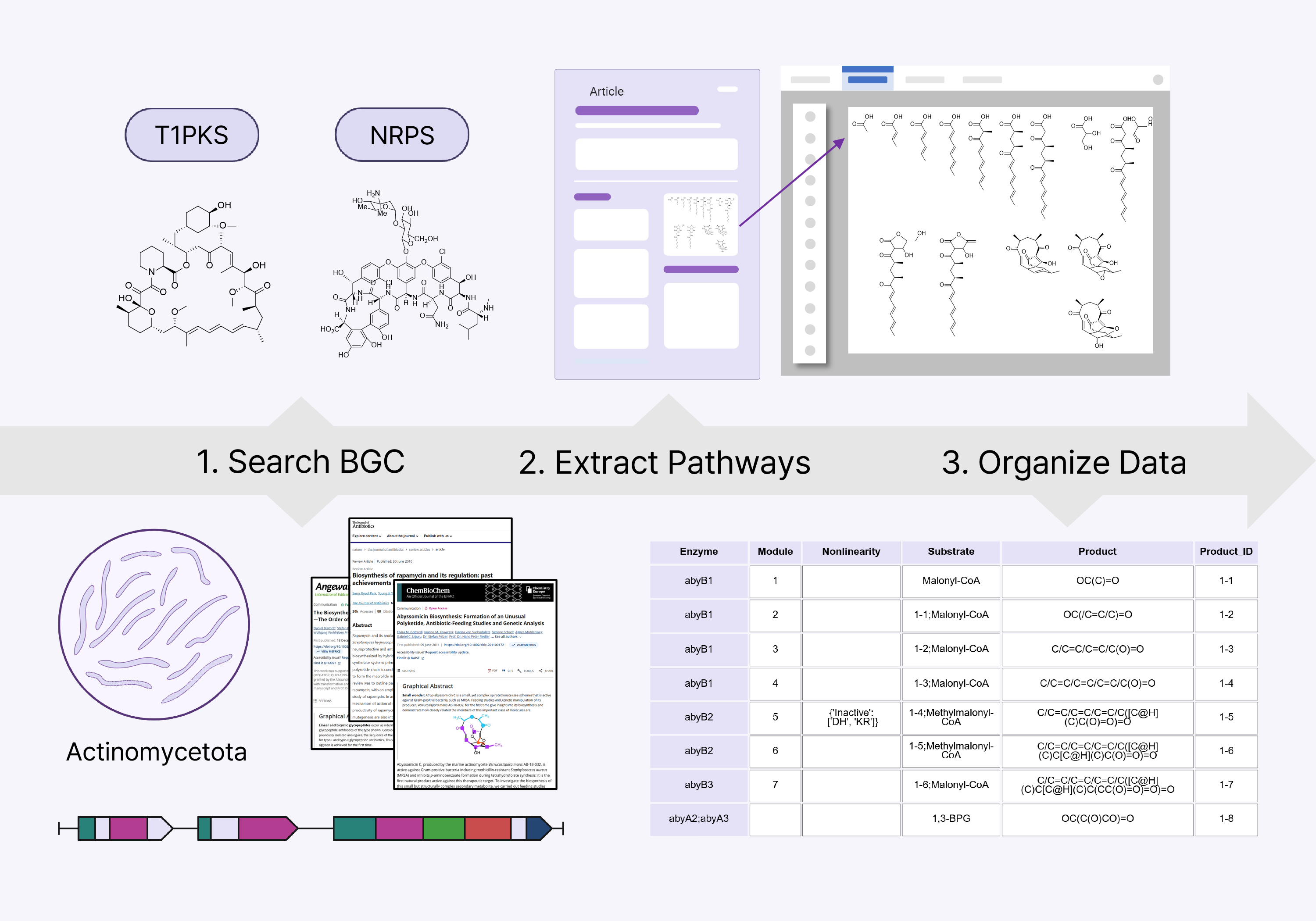 NPdia biosynthesis pathway scheme